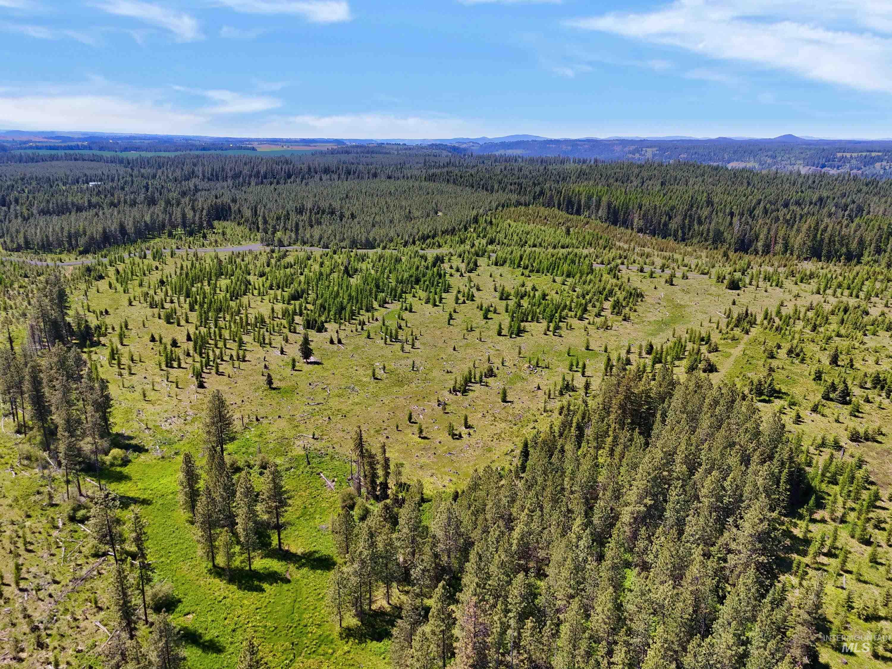 0 Timberline Heights Weippe, ID 83553 - Photo 6 of 12 Bird's eye view of a mountain backdrop