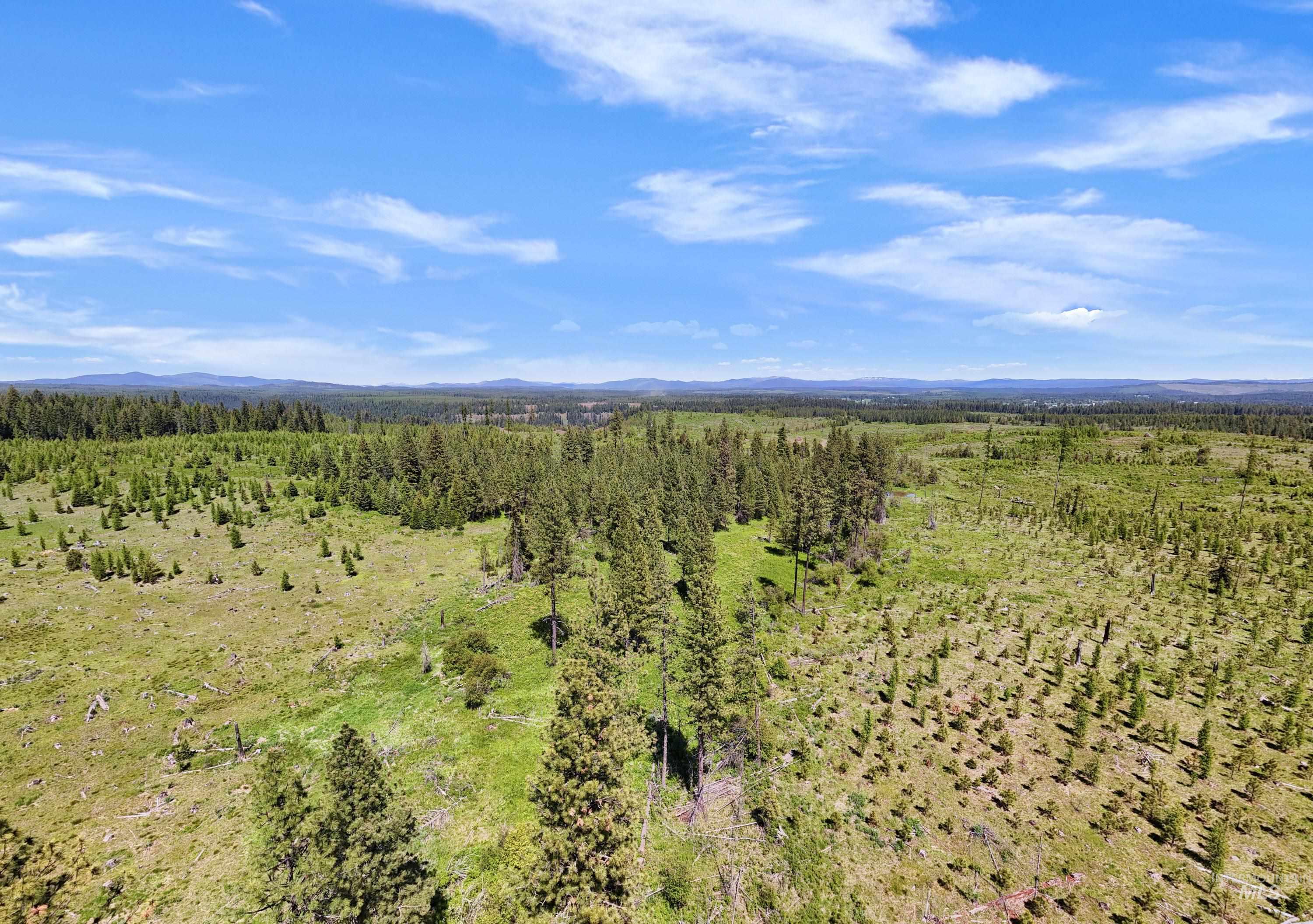 0 Timberline Heights Weippe, ID 83553 - Photo 7 of 12 Mountain view featuring a forest