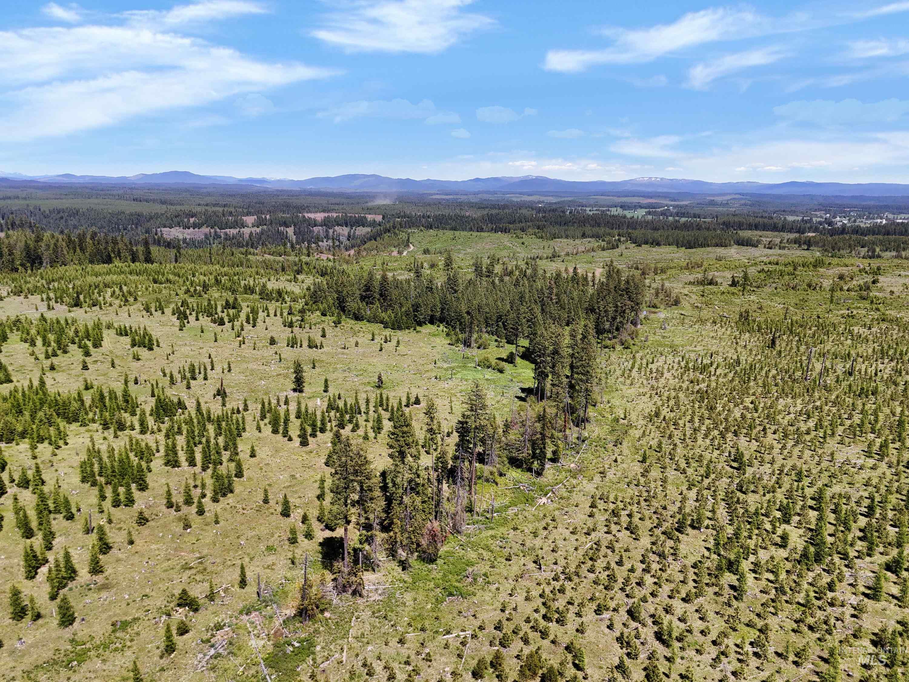 0 Timberline Heights Weippe, ID 83553 - Photo 9 of 12 View of mountain backdrop with a forest