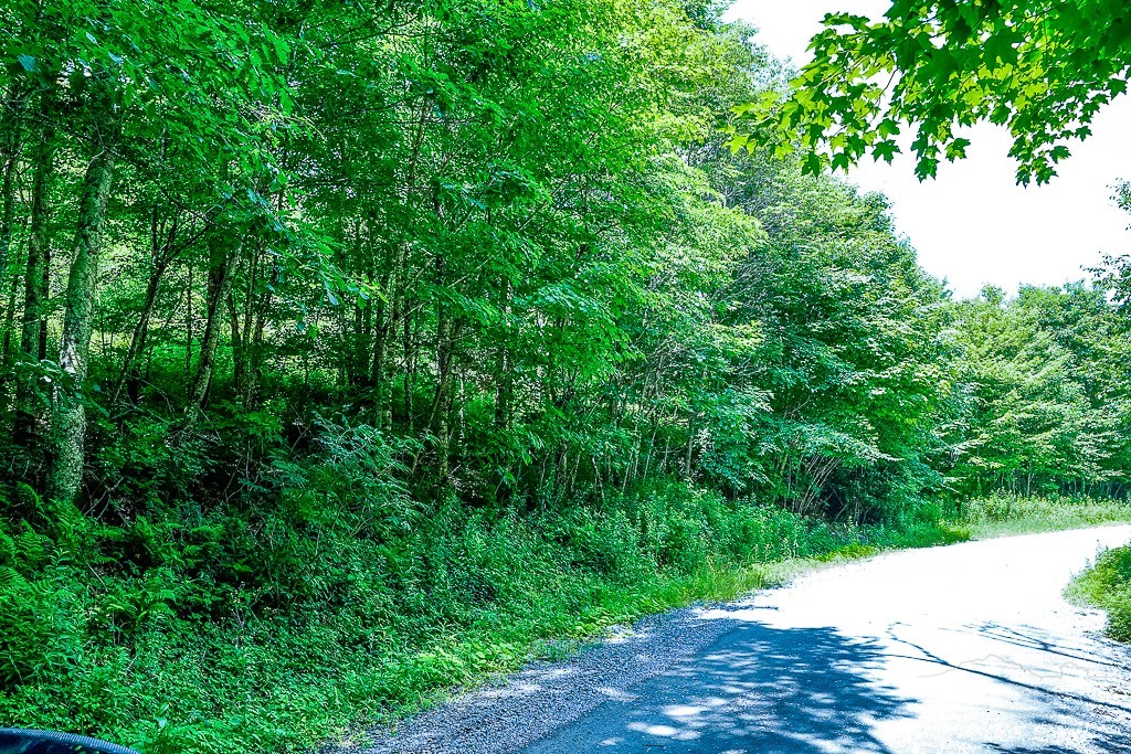 218 Old Mountain Road Banner Elk, NC 28604 - Photo 19 of 34 Gallery Image 19