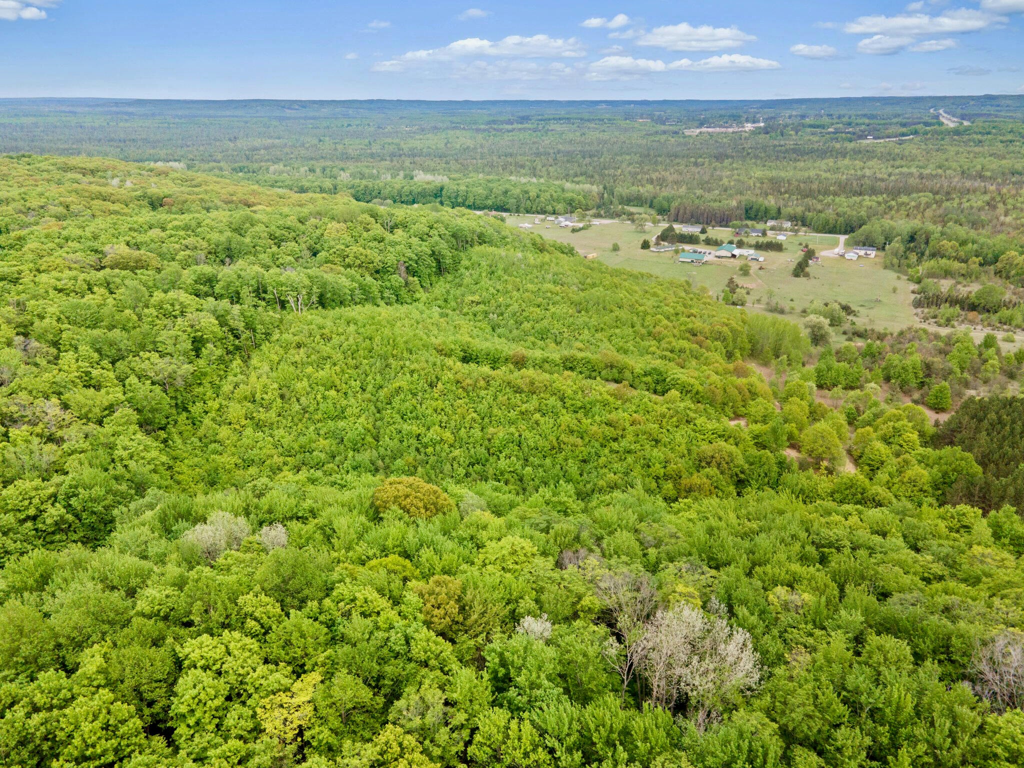 442 East Alexander Road Vanderbilt, MI 49795 - Photo 61 of 72 Gallery Image 61