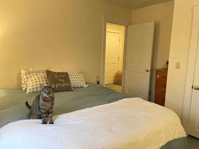 867 Symonds Mill Road Elmore, VT 05680 - Photo 16 of 40