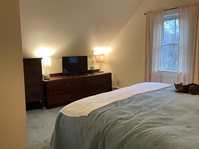 867 Symonds Mill Road Elmore, VT 05680 - Photo 17 of 40