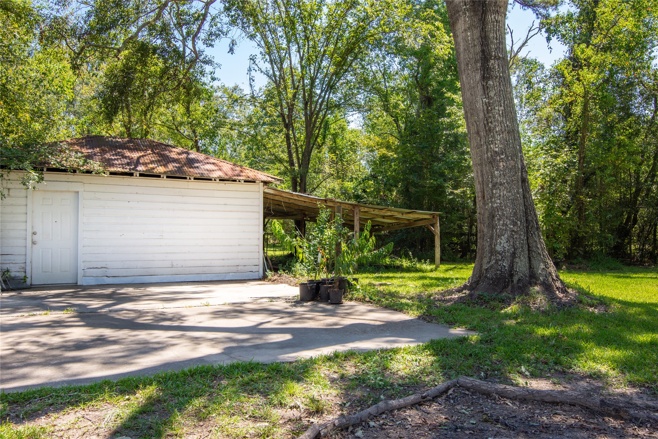 15552 Schank Road Conroe, TX 77306 - Photo 39 of 50