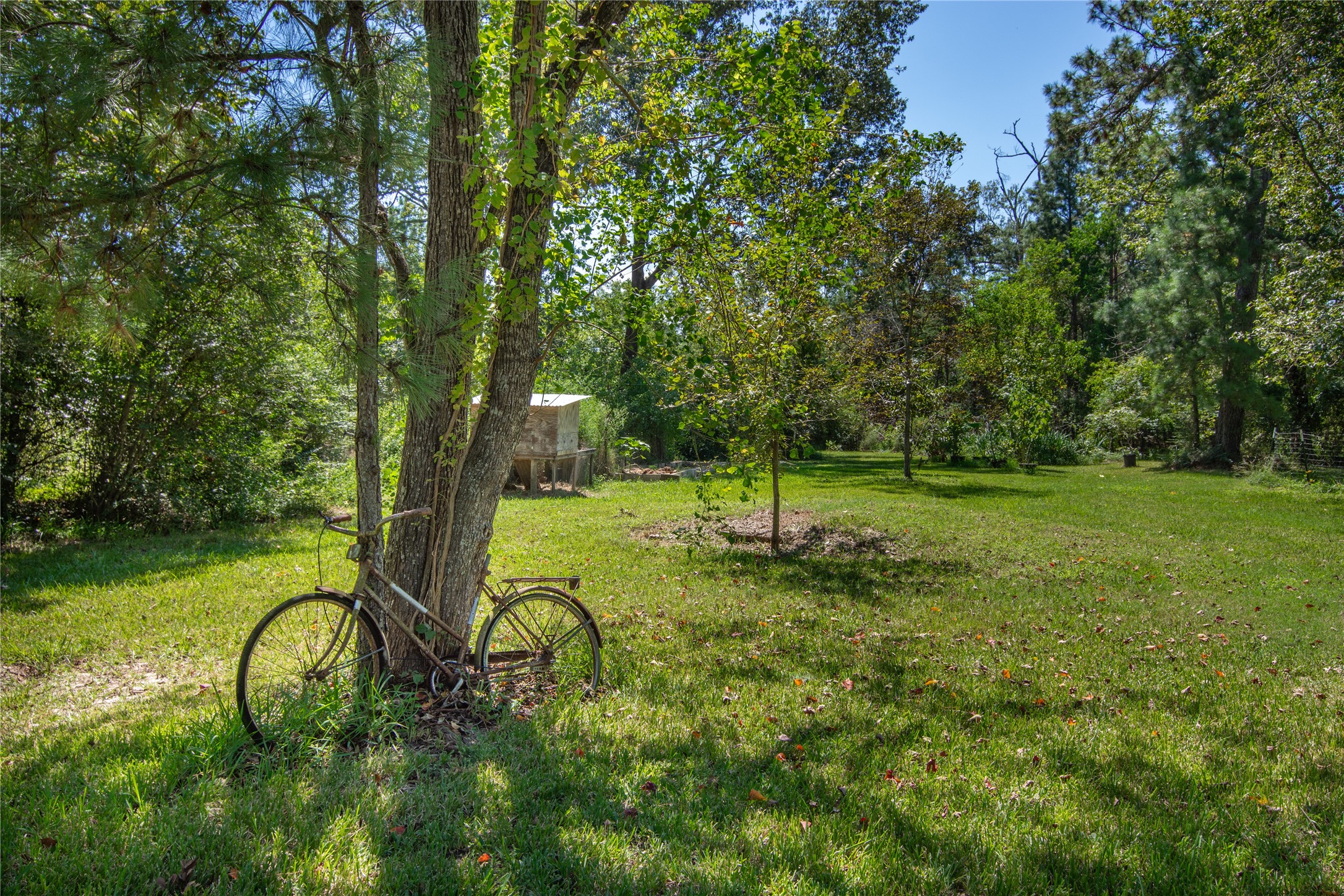 15552 Schank Road Conroe, TX 77306 - Photo 40 of 50