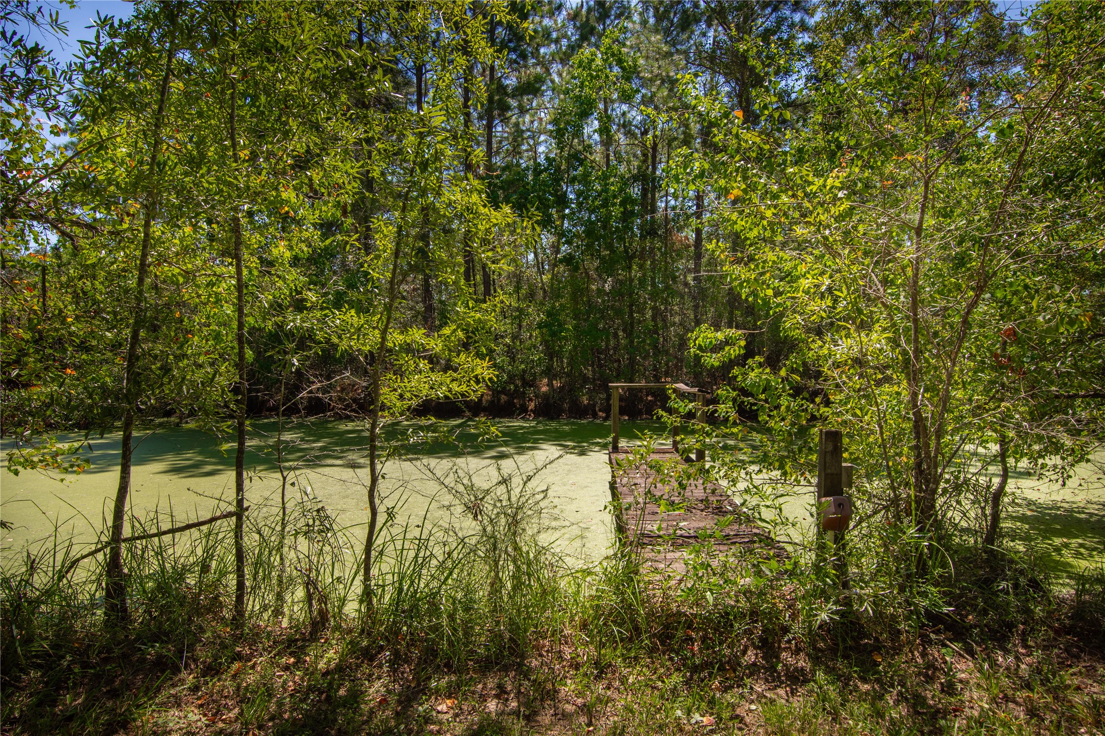 15552 Schank Road Conroe, TX 77306 - Photo 41 of 50