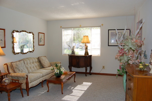 1920 Ector Road Jacksonville, FL 32211 - Photo 8 of 23 a living room with furniture and a potted plant