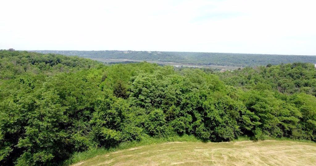 3559 9 Mile Road Melbourne, KY 41059 - Photo 6 of 28 Gallery Image 6