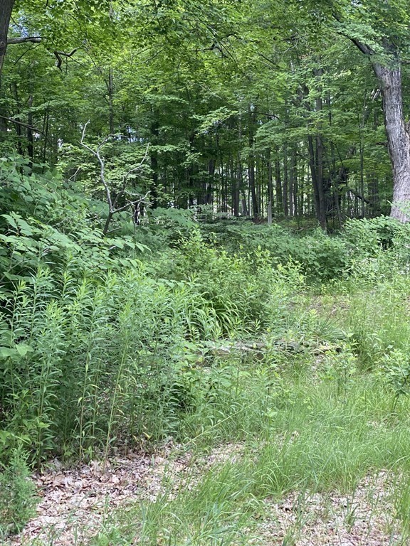 Lot 1 Munn Road Monson, MA 01057 - Photo 10 of 12 Gallery Image 10