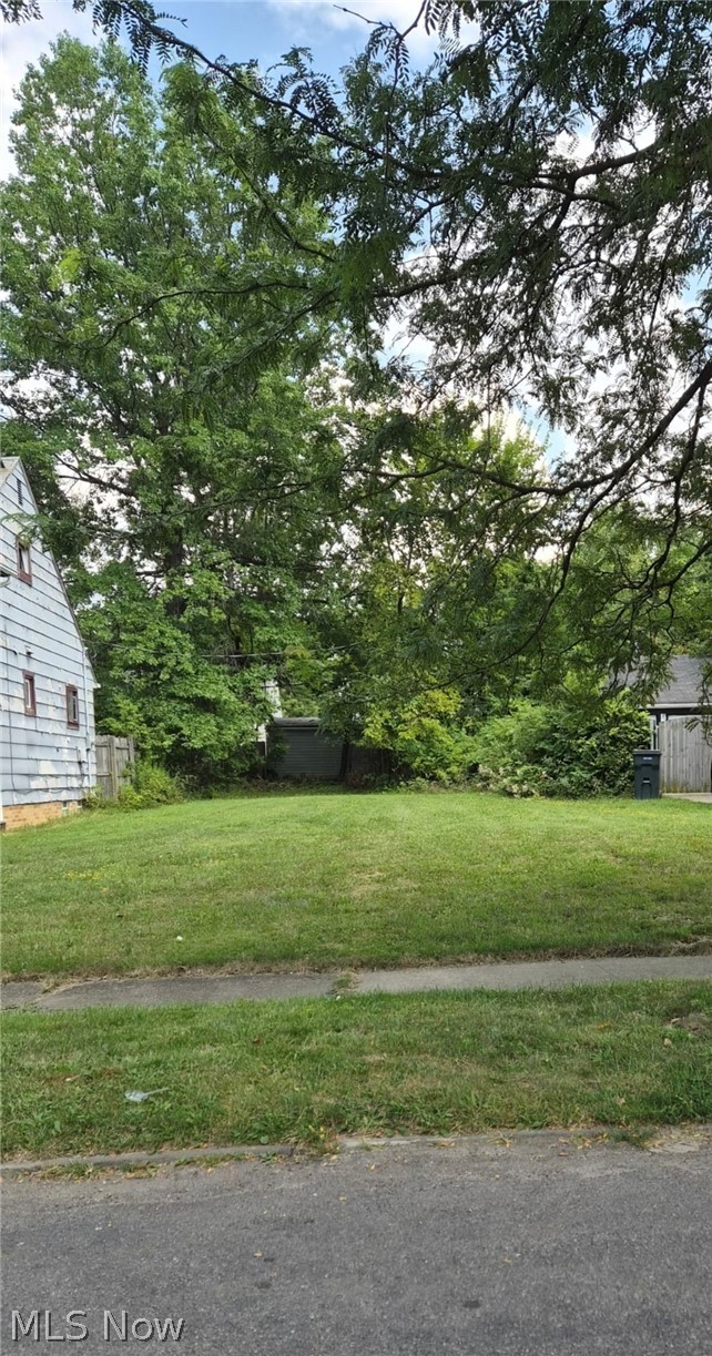 907 Nela View Road Cleveland Heights, OH 44112 - Photo 2 of 3 View of lot