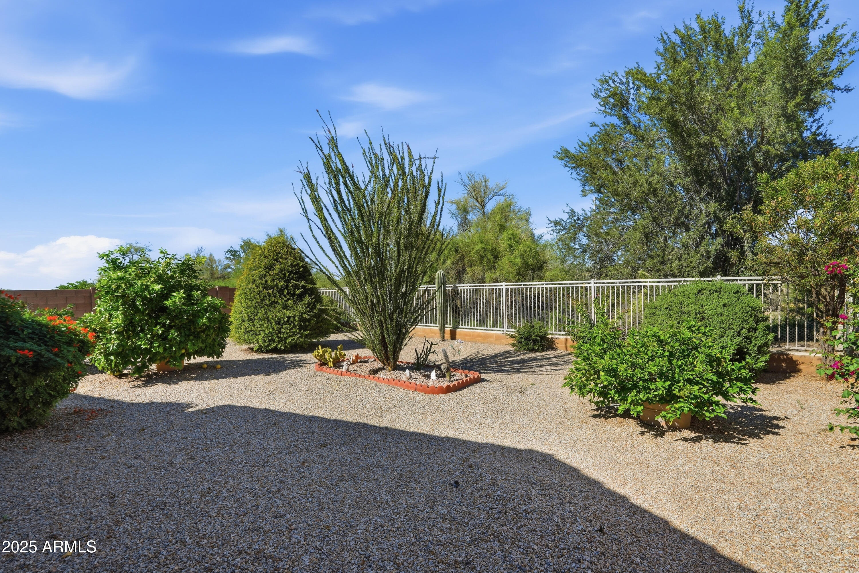 4626 East Thorn Tree Drive Cave Creek, AZ 85331 - Photo 28 of 30 a view of a park with potted plants and large trees