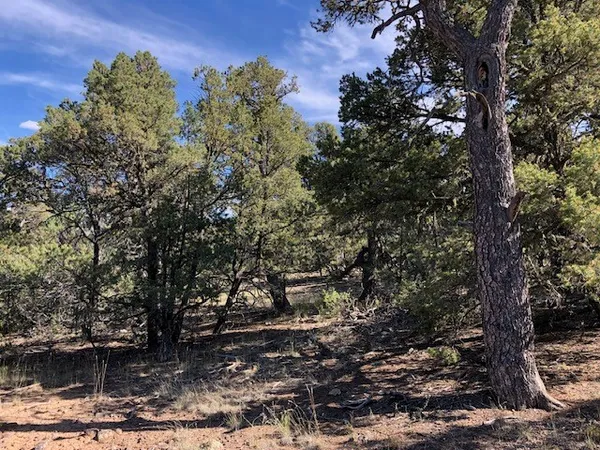 $5,000 | .24-acre 24-acre Portion Of, Tres Piedras, NM 87577