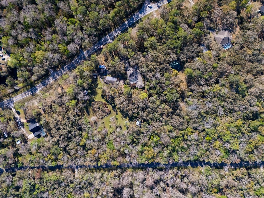 295 North Jungle Road Geneva, FL 32732 - Photo 43 of 53 Gallery Image 43