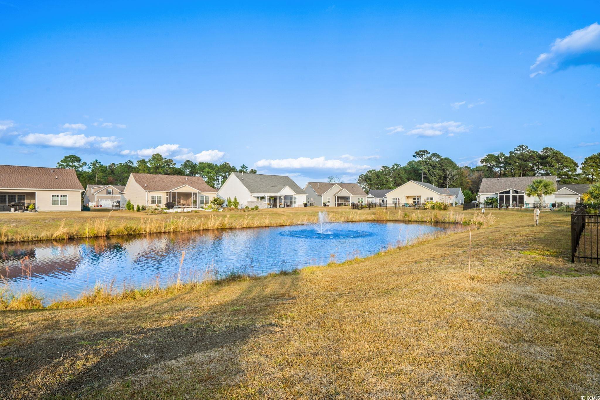 187 Palm Terrace Loop Conway, SC 29526 - Photo 32 of 40
