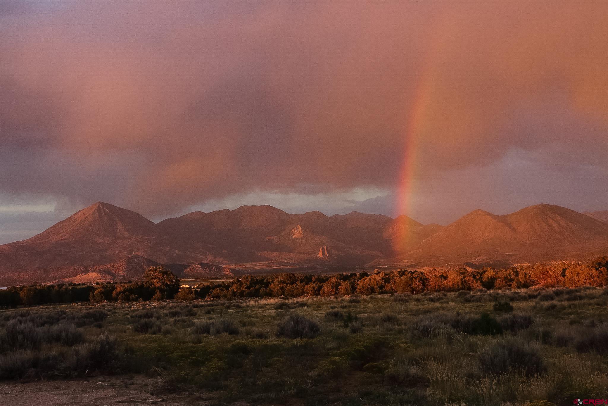 75707 B76 Road Crawford, CO 81415 - Photo 43 of 45