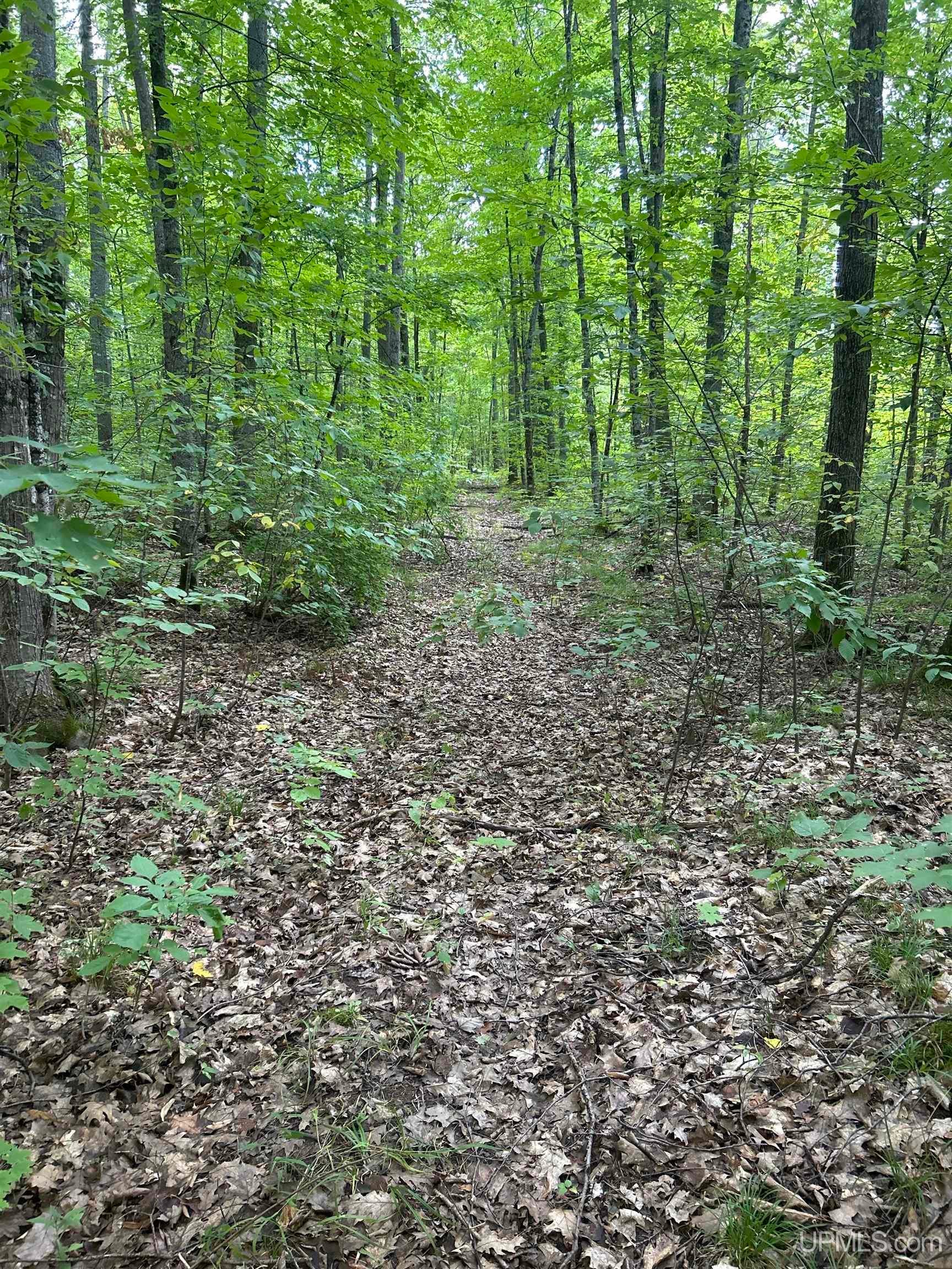 Tbd Victoria Road Ewen, MI 49925 - Photo 3 of 24 Gallery Image 3