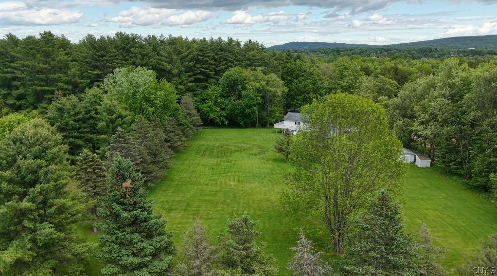 7094 Cheese Factory Road Deerfield, NY 13304 - Photo 34 of 40
