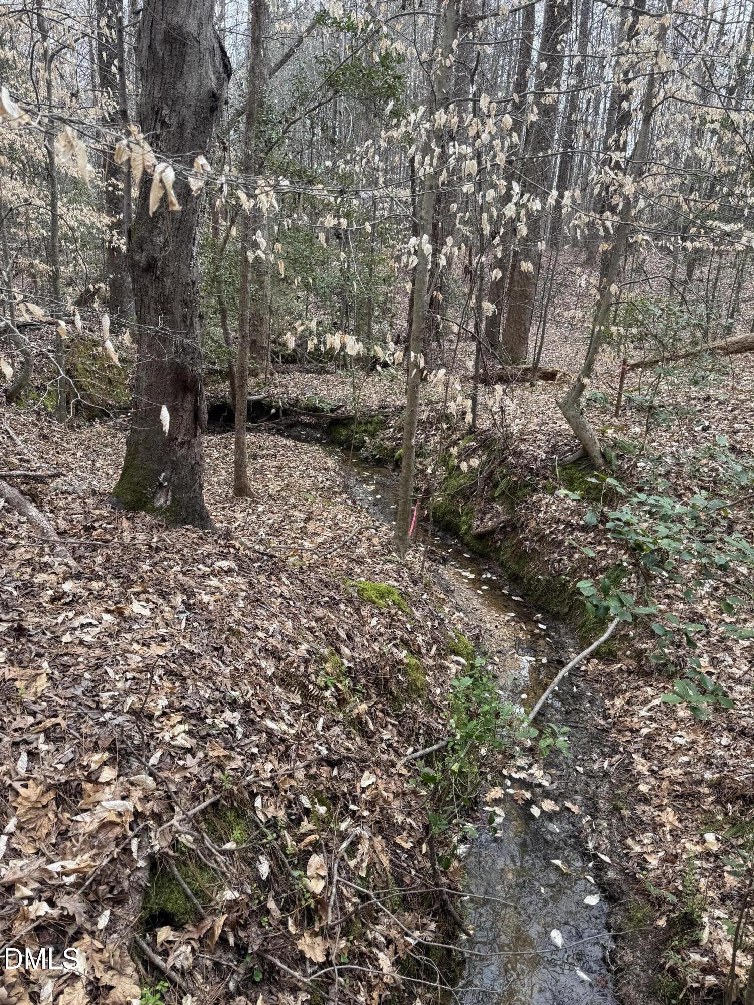 0 Old US Highway 64 Spring Hope, NC 27882 - Photo 2 of 4 a view of backyard with green space