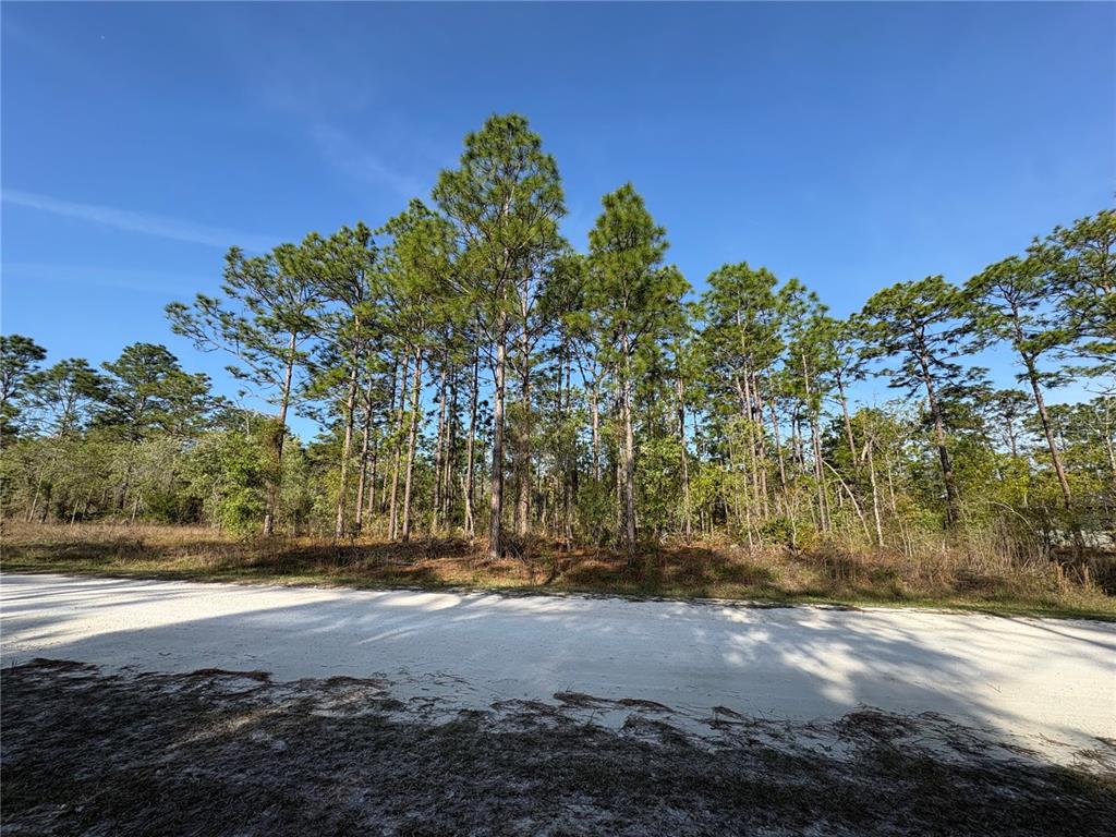 0 Penn State Road Weeki Wachee, FL 34614 - Photo 4 of 4