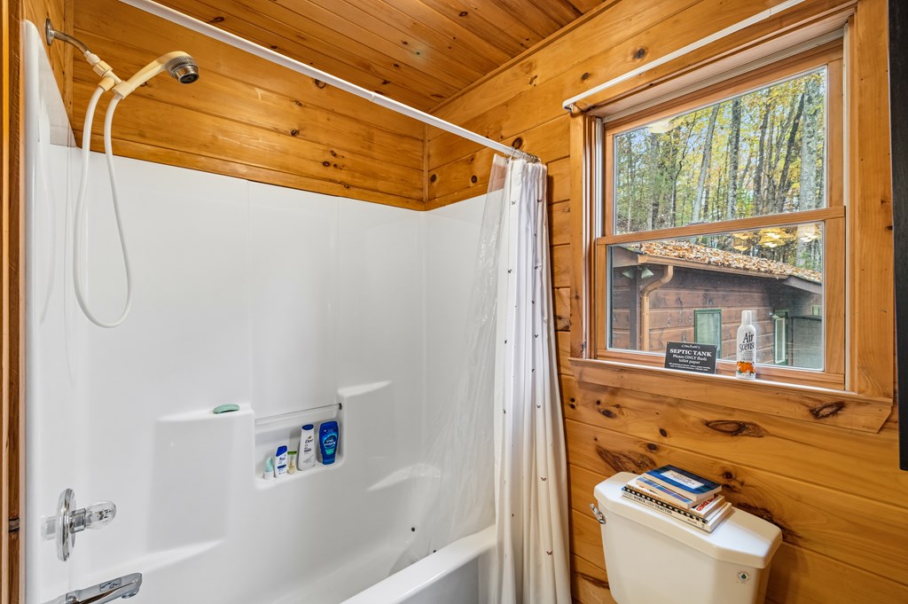 254 Aries Lane Blue Ridge, GA 30513 - Photo 15 of 43 a bathroom with a tub and a window