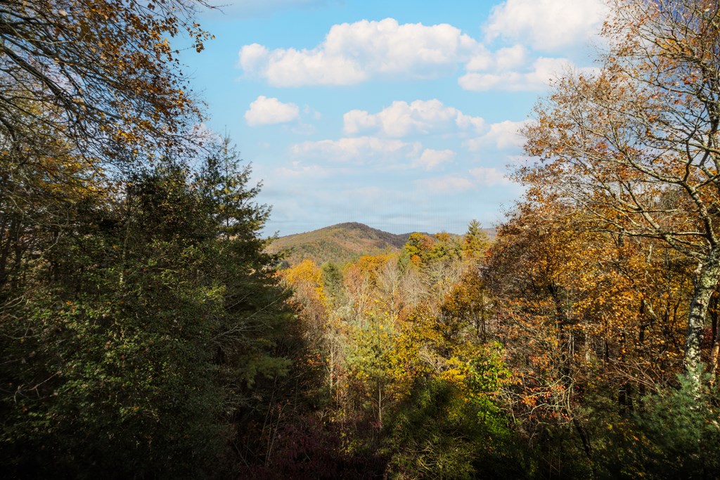 254 Aries Lane Blue Ridge, GA 30513 - Photo 3 of 43 a view of mountain