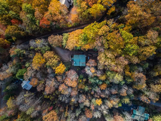 a view of a house with a tree