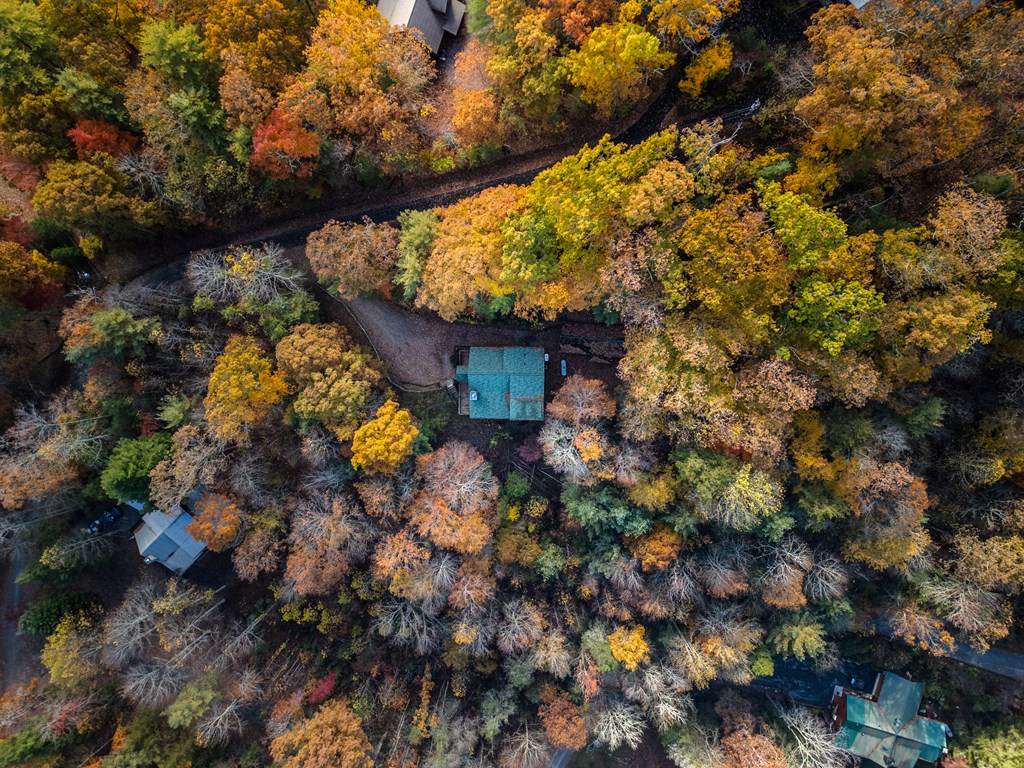 254 Aries Lane Blue Ridge, GA 30513 - Photo 40 of 43 a view of a house with a tree
