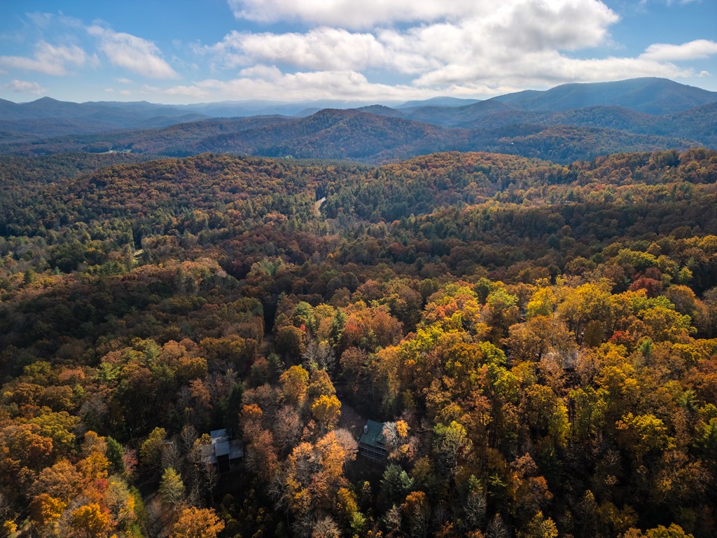 254 Aries Lane Blue Ridge, GA 30513 - Photo 42 of 43 a view of city and mountain