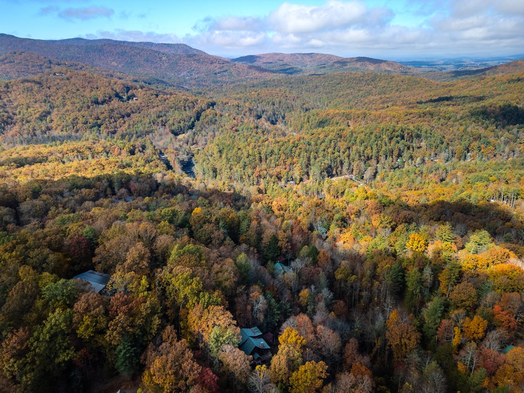 254 Aries Lane Blue Ridge, GA 30513 - Photo 43 of 43 a view of a city with mountains in the background