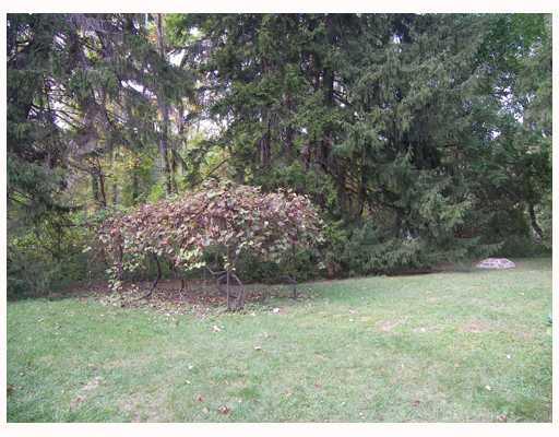 473 Saxman Road Latrobe, PA 15650 - Photo 8 of 8 Yard/Garden.