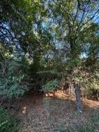 Lot 14 Olde Castle Road Barnwell, SC 29812 - Photo 4 of 6 Gallery Image 4