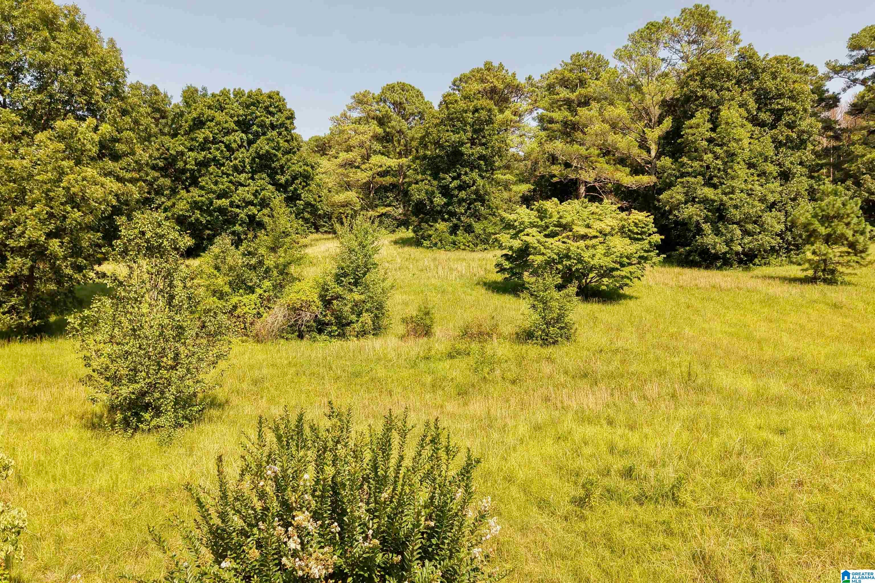7571 Mack Hicks Road Trussville, AL 35173 - Photo 21 of 35 Gallery Image 21