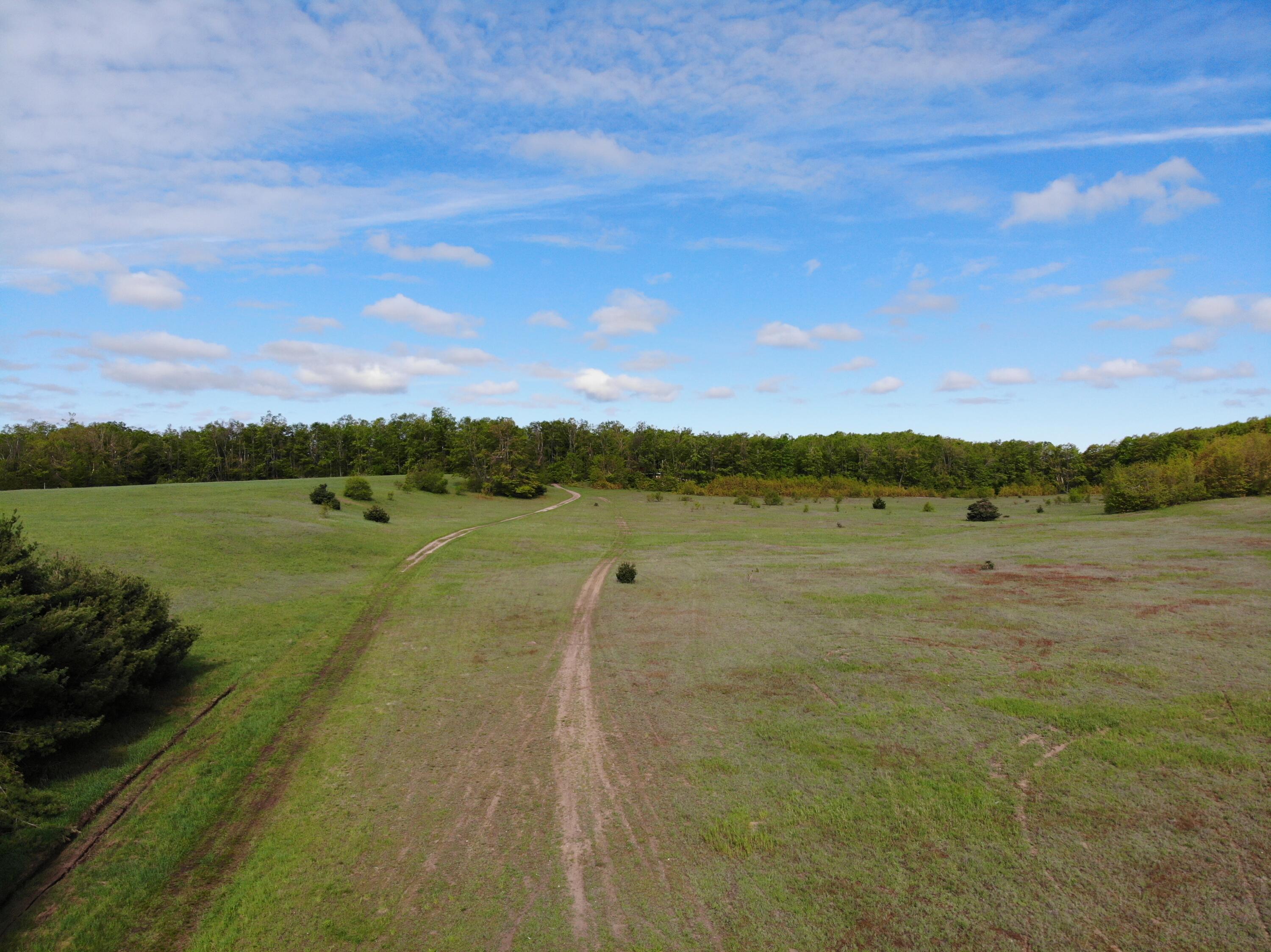 Nichols Road Pellston, MI 49769 - Photo 18 of 32