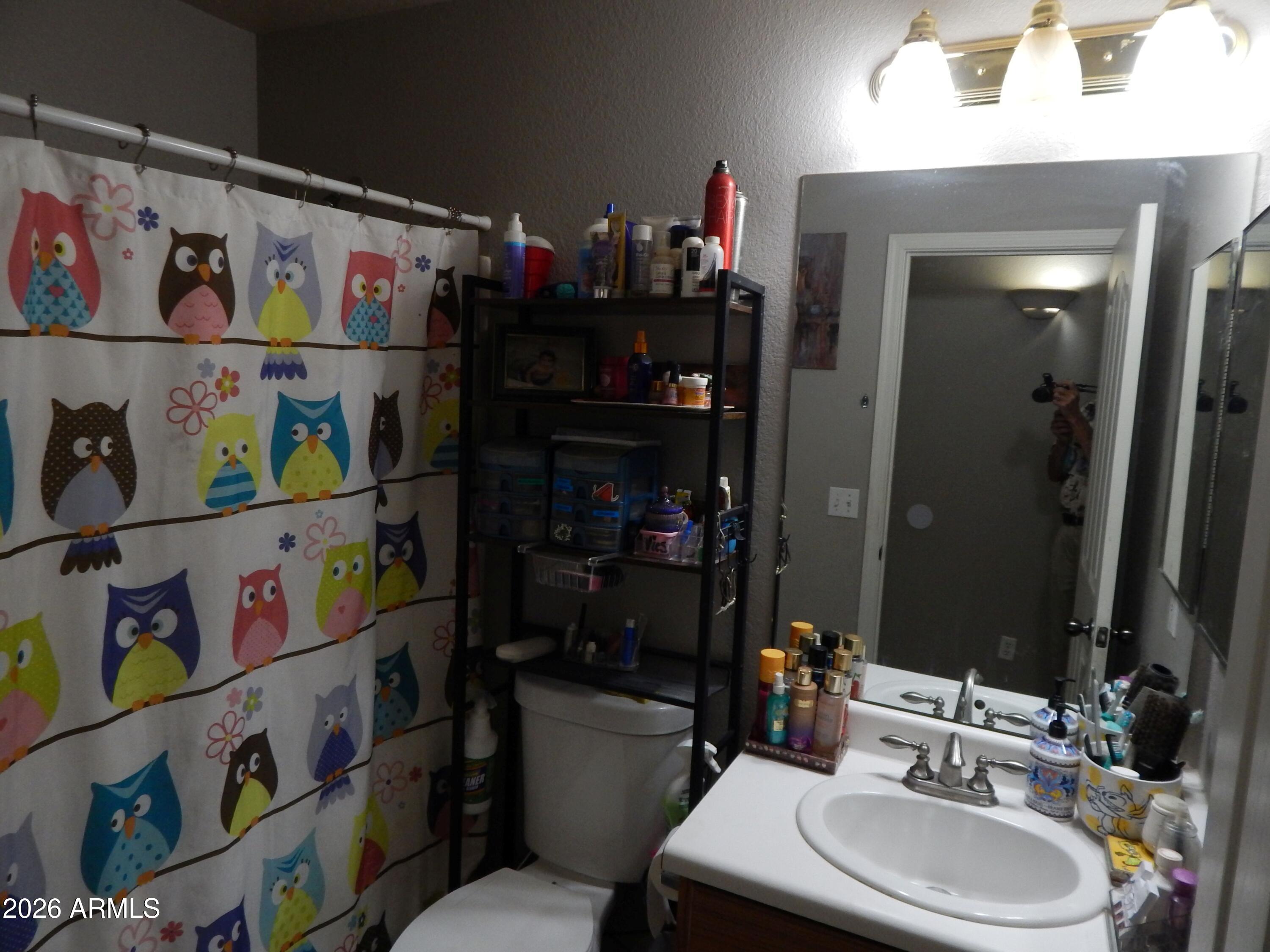 438 South 93rd Way Mesa, AZ 85208 - Photo 5 of 15 Hall Bathroom 1