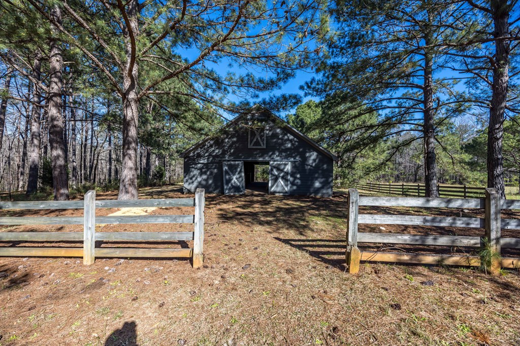 8435 Cartledge Road Box Springs, GA 31801 - Photo 11 of 100 Gallery Image 11
