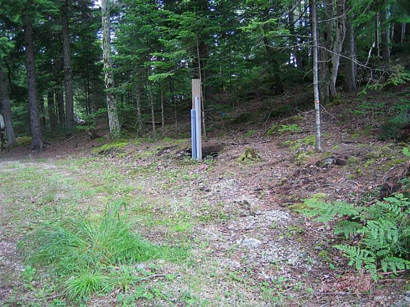 0 Gus Moore Road Blue Hill, ME 04614 - Photo 8 of 8 Land/Lot.