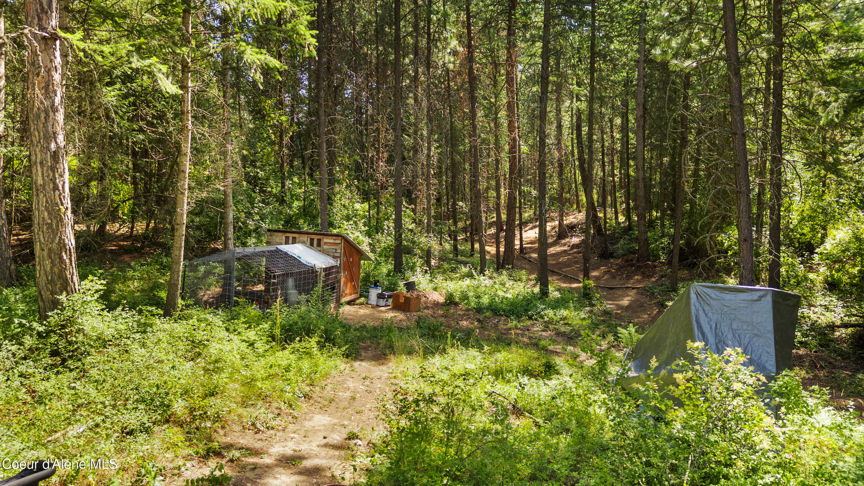 3167 South Sagle Road Sagle, ID 83860 - Photo 6 of 47 3167SSagleRd-EXTERIOR (5)