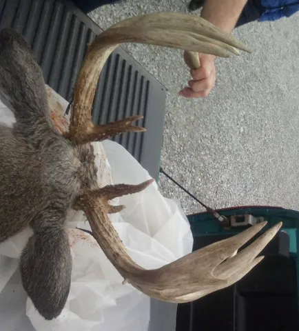 $110,000 | 6546 Highway 121, Connersville, IN 47331