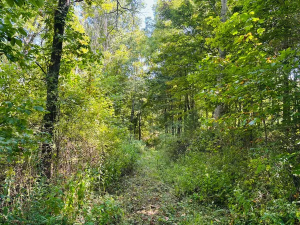 $87,000 | 6546 Highway 121, Connersville, IN 47331