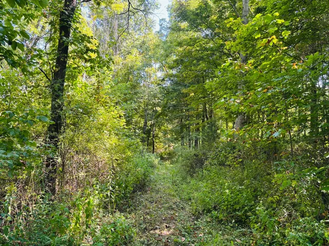 $110,000 | 6546 Highway 121, Connersville, IN 47331