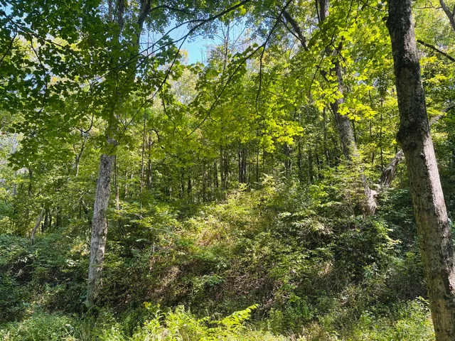 $110,000 | 6546 Highway 121, Connersville, IN 47331