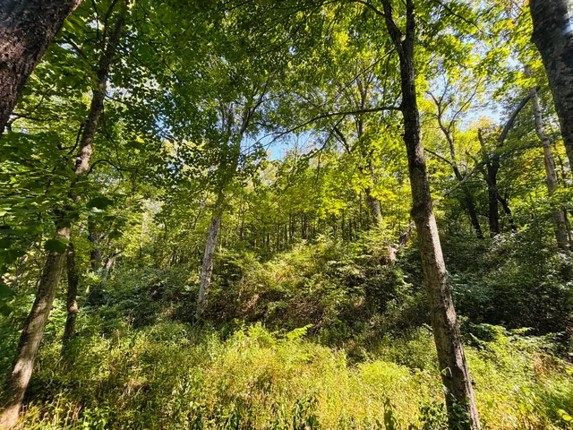 $110,000 | 6546 Highway 121, Connersville, IN 47331