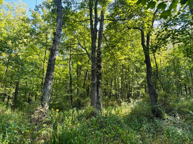 $110,000 | 6546 Highway 121, Connersville, IN 47331