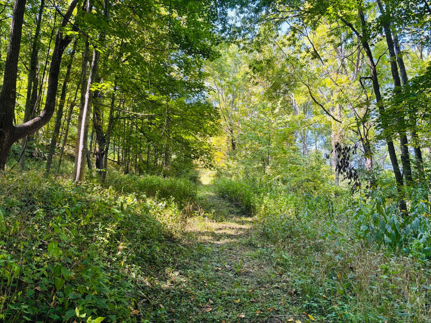 6546 Highway 121 Connersville, IN 47331 - Photo 8 of 11