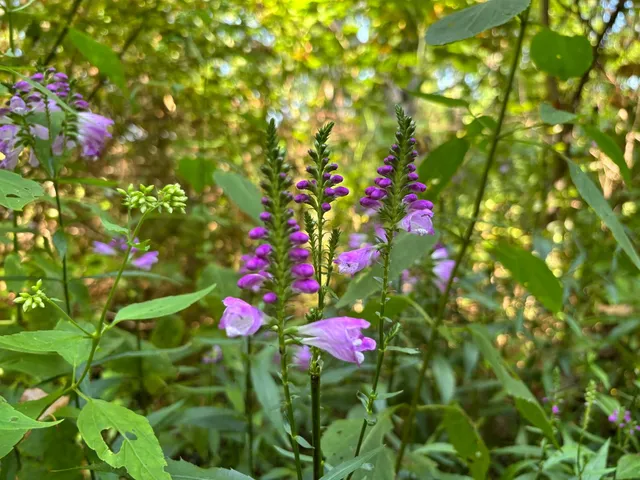 $110,000 | 6546 Highway 121, Connersville, IN 47331