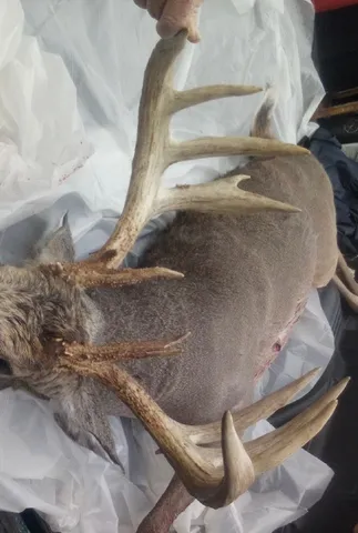 $110,000 | 6546 Highway 121, Connersville, IN 47331