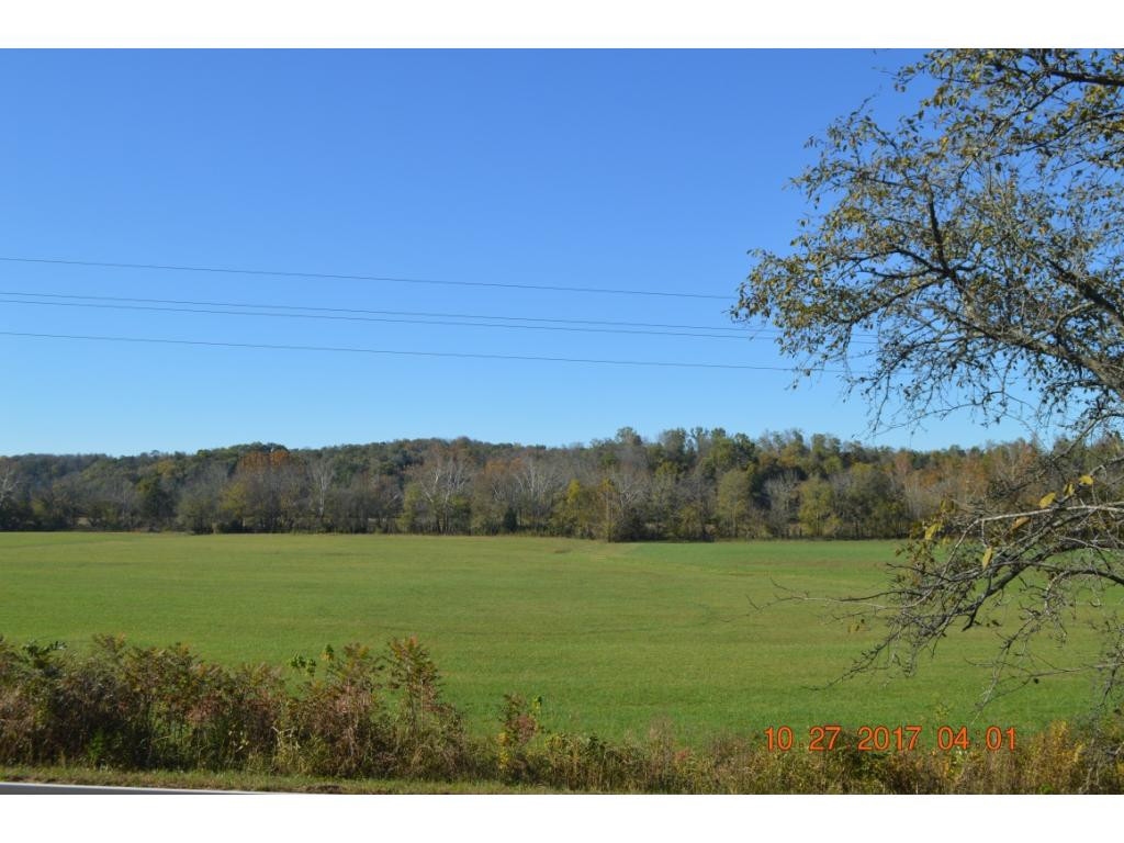 12115 Warrensburg Road Midway, TN 37809 - Photo 2 of 19 View from the front porch