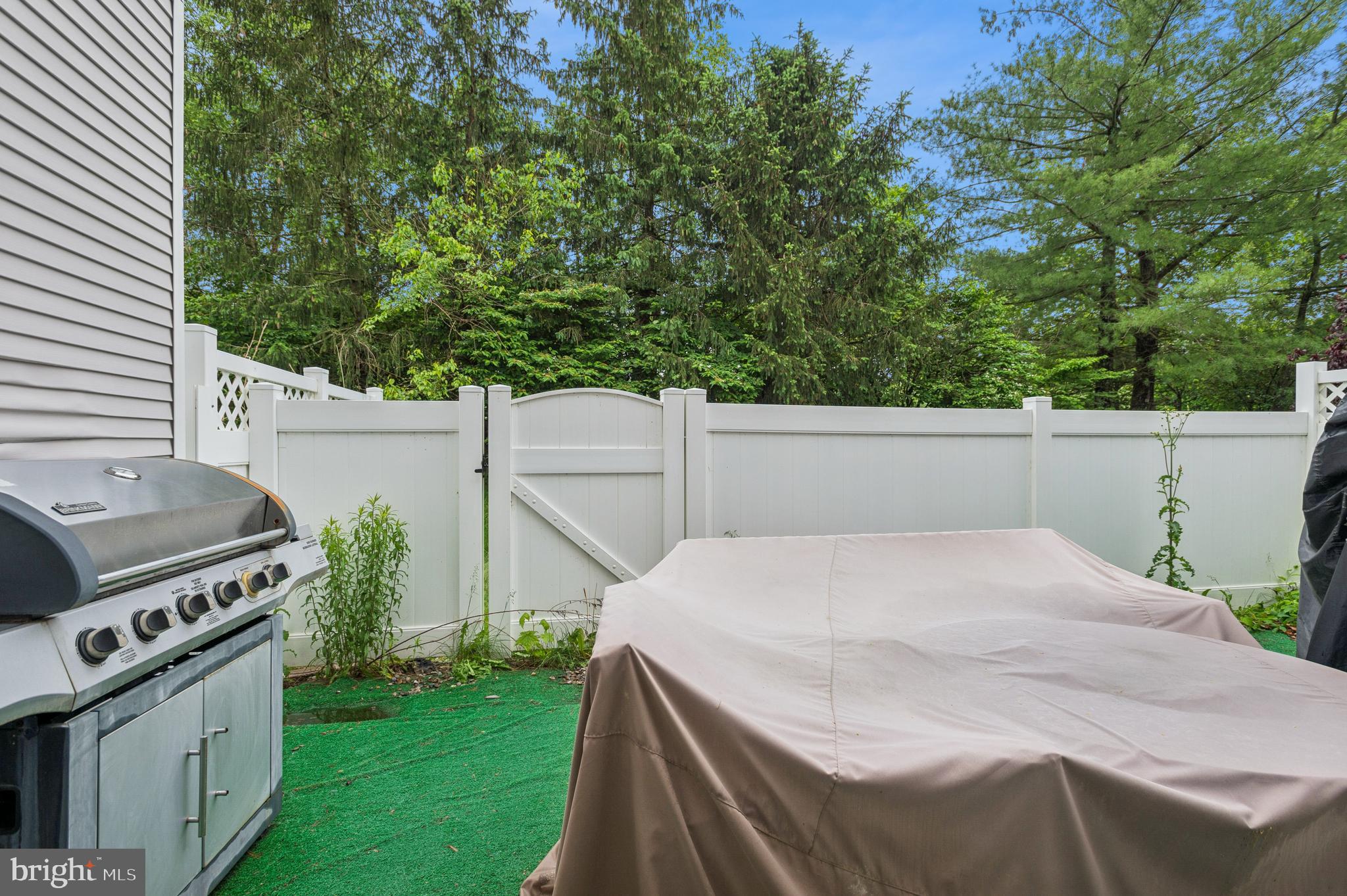 19 York Road Princeton Junction, NJ 08550 - Photo 3 of 19 a view of a backyard with potted plants
