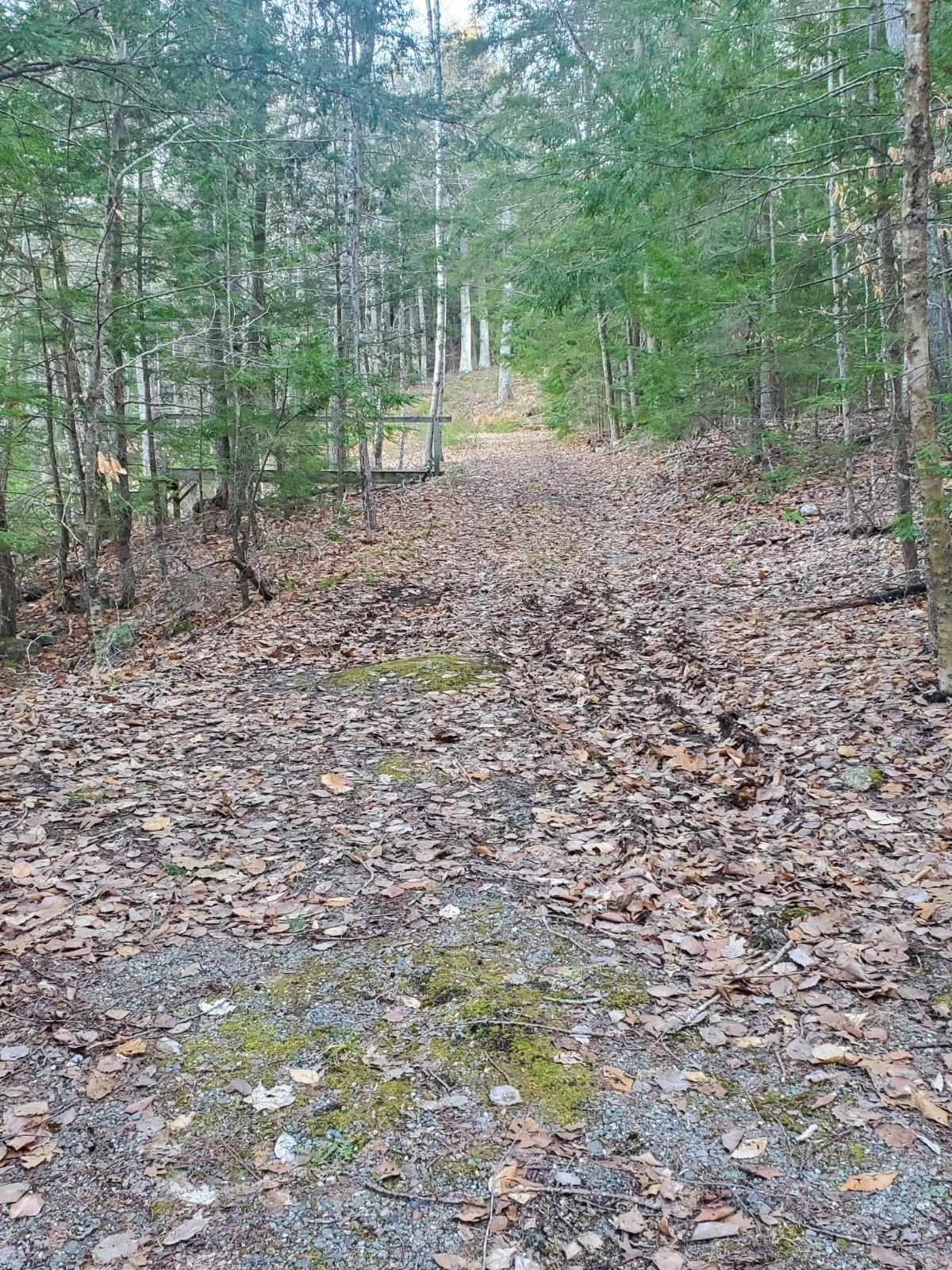 93 Wood Road Jefferson, ME 04348 - Photo 31 of 97 20210413_182352