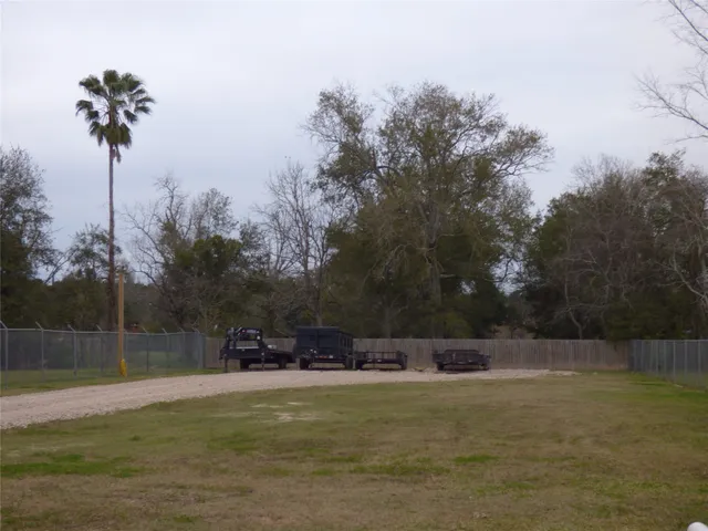 a view of a field with a palm tree